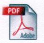 pdf document format