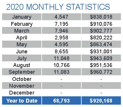 2020-monthly-statistics-average-prices-and-sales-volumes